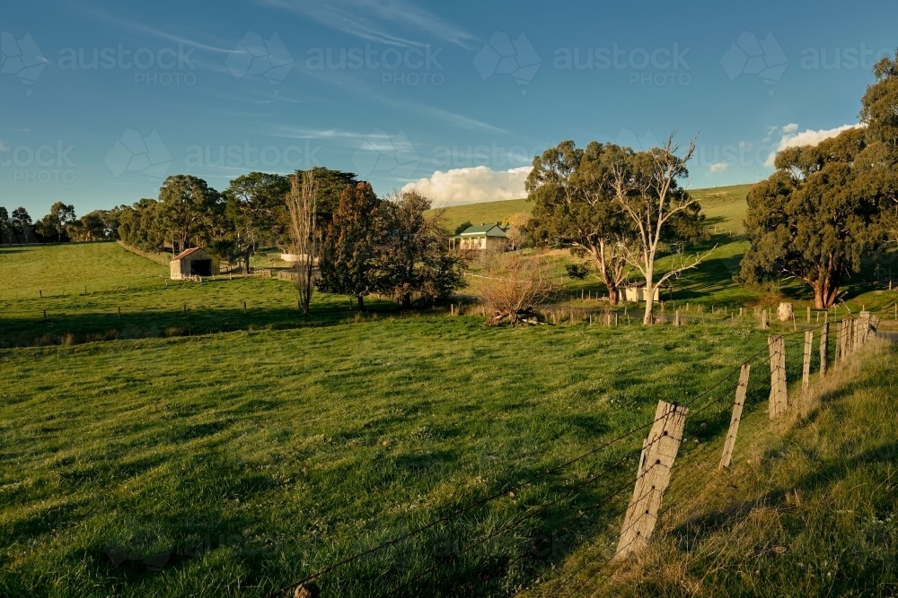 Farm in Nutfield, Victoria - Australian Stock Image