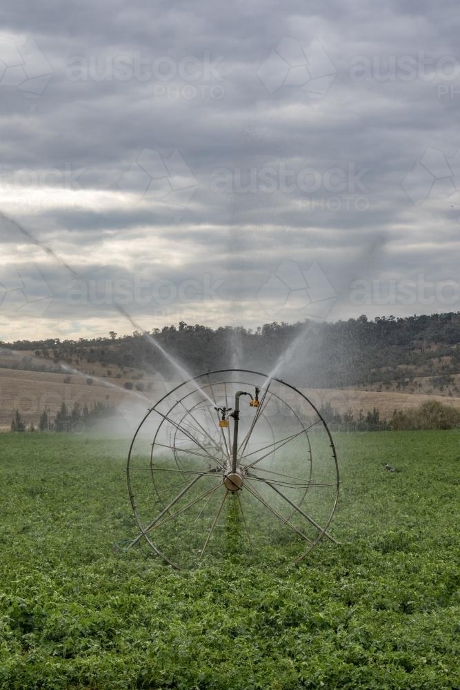 Travelling irrigators operating across rural farmland, watering crops and creating circular patterns - Australian Stock Image