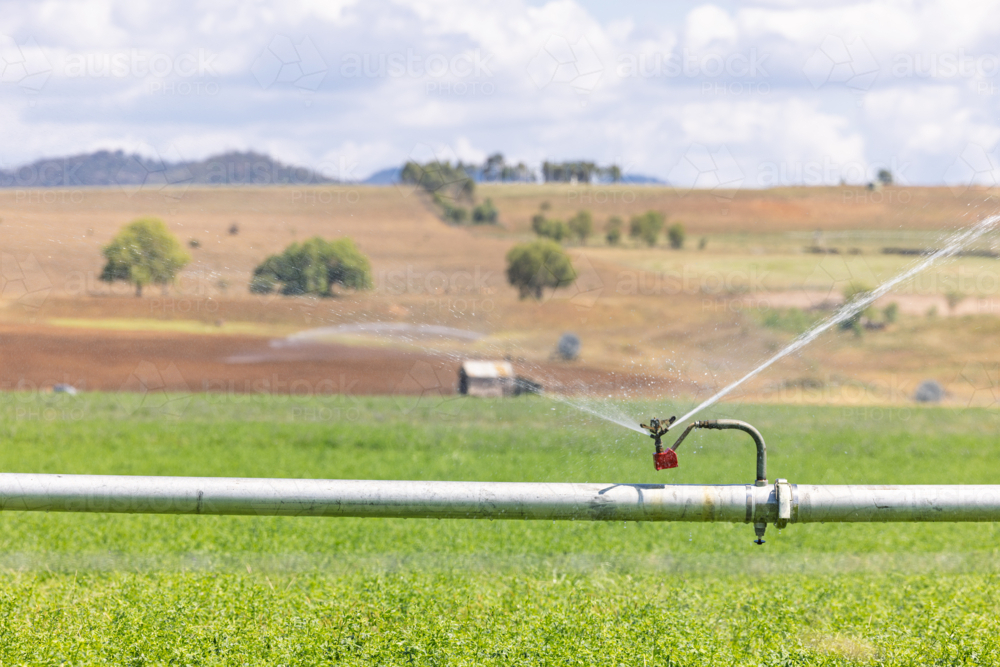 Farm irrigation system watering lush green paddocks in rural NSW - Australian Stock Image