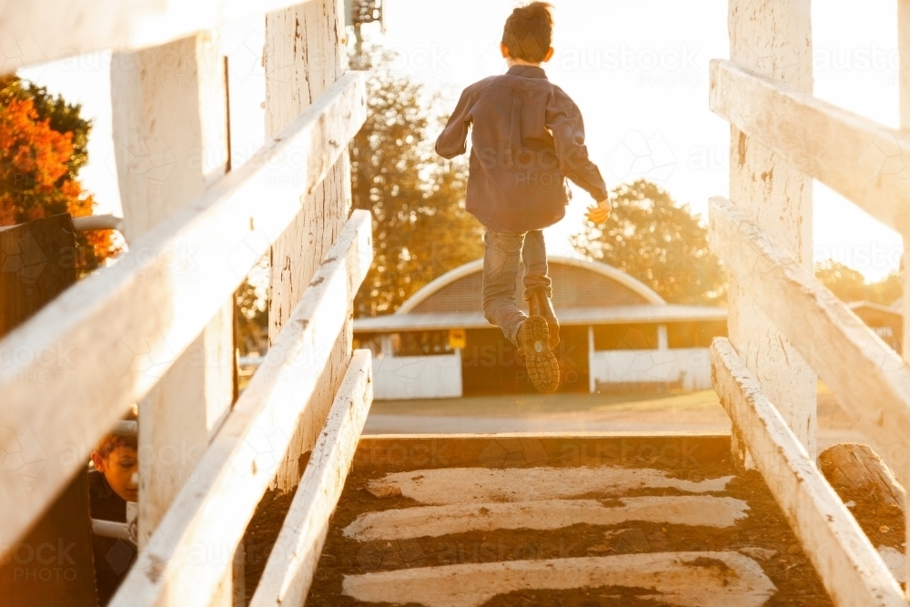 Image of Farm kid jumping off the end of a cattle ramp in golden ...