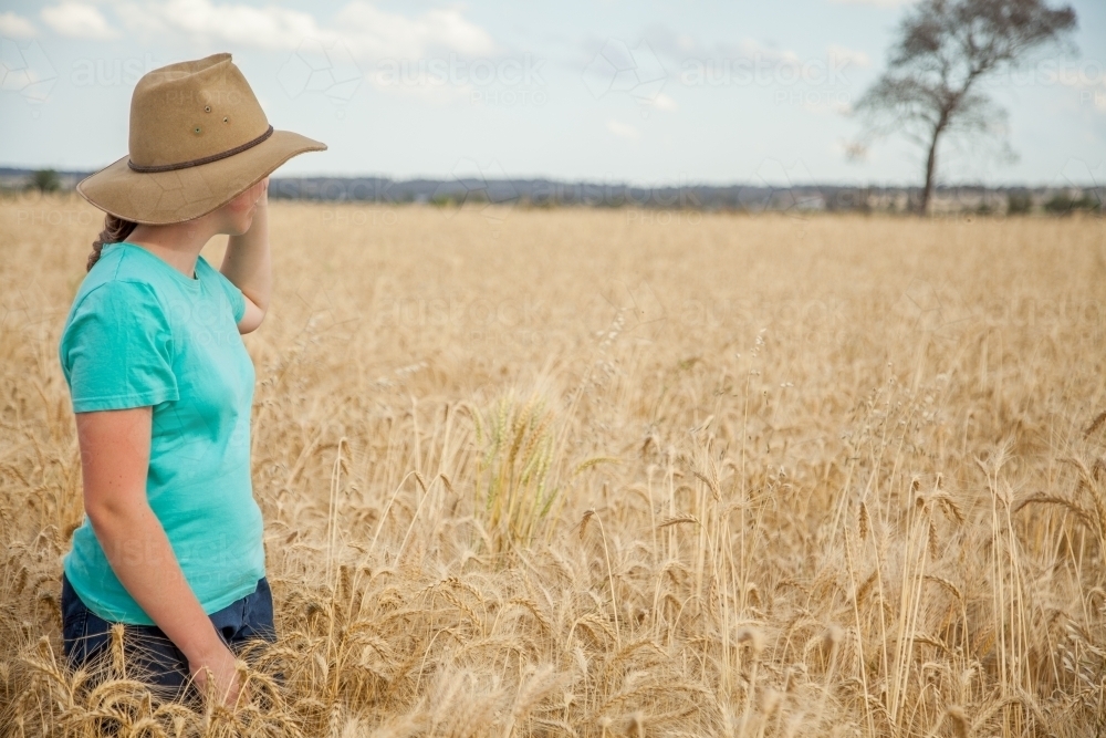 Farm kid looking into the distance in a paddock of bearded wheat crop on a farm - Australian Stock Image