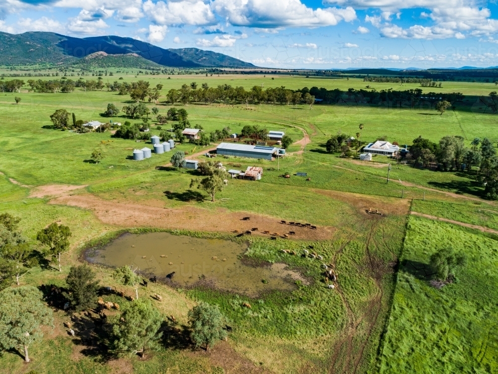 Farm landscape with dam and sunlit paddocks from the air - Australian Stock Image
