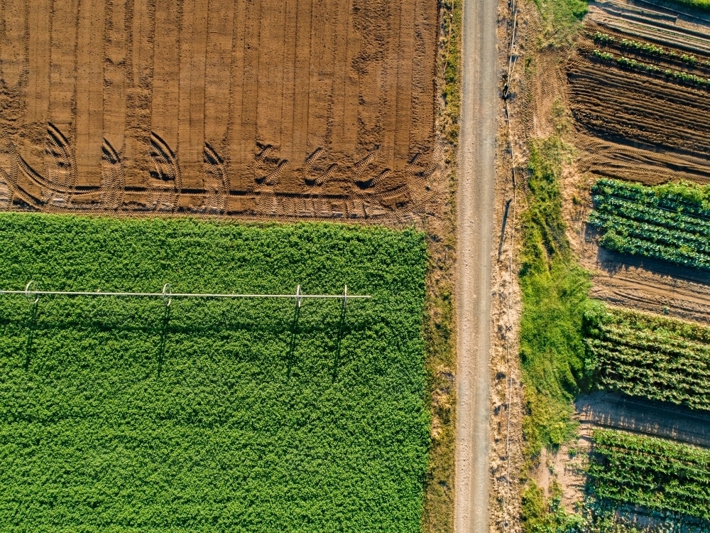 Farm paddock of crops with driveway and empty soil - Australian Stock Image