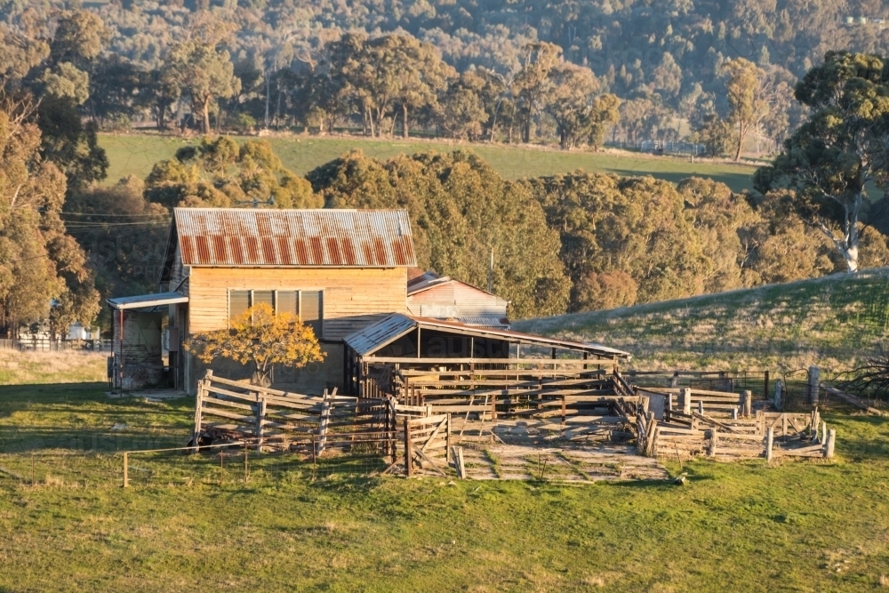 farm shed and sheep yards - Australian Stock Image