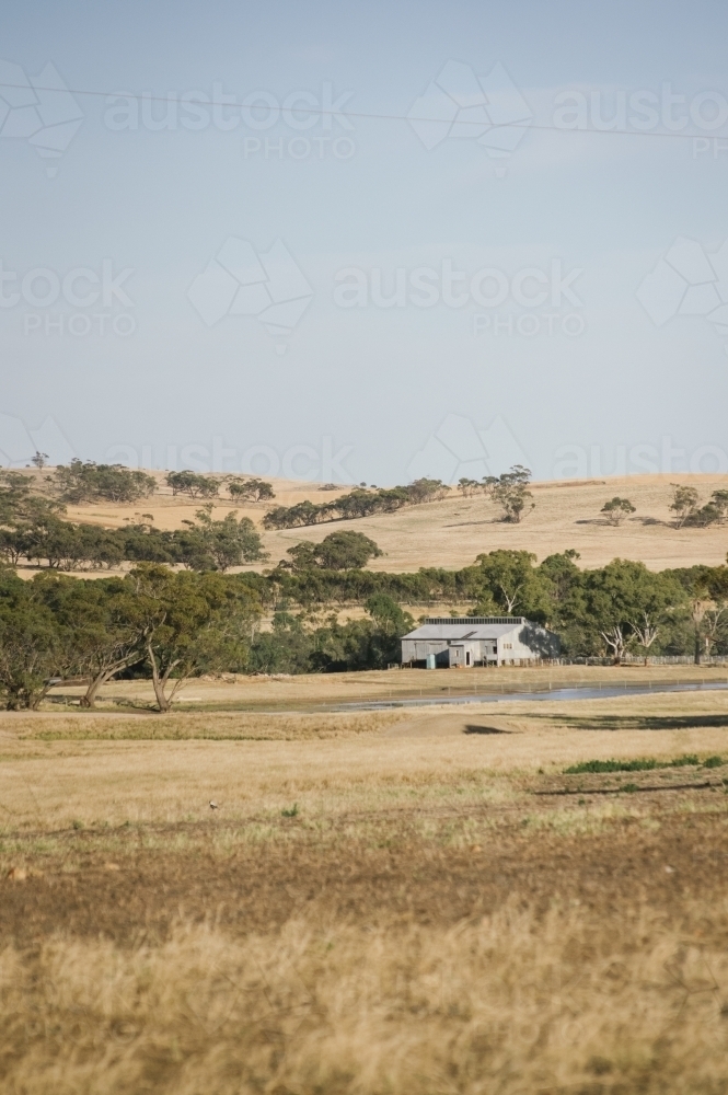 Farm sheds and landscape in Summer in the Avon Valley of Western Australia - Australian Stock Image