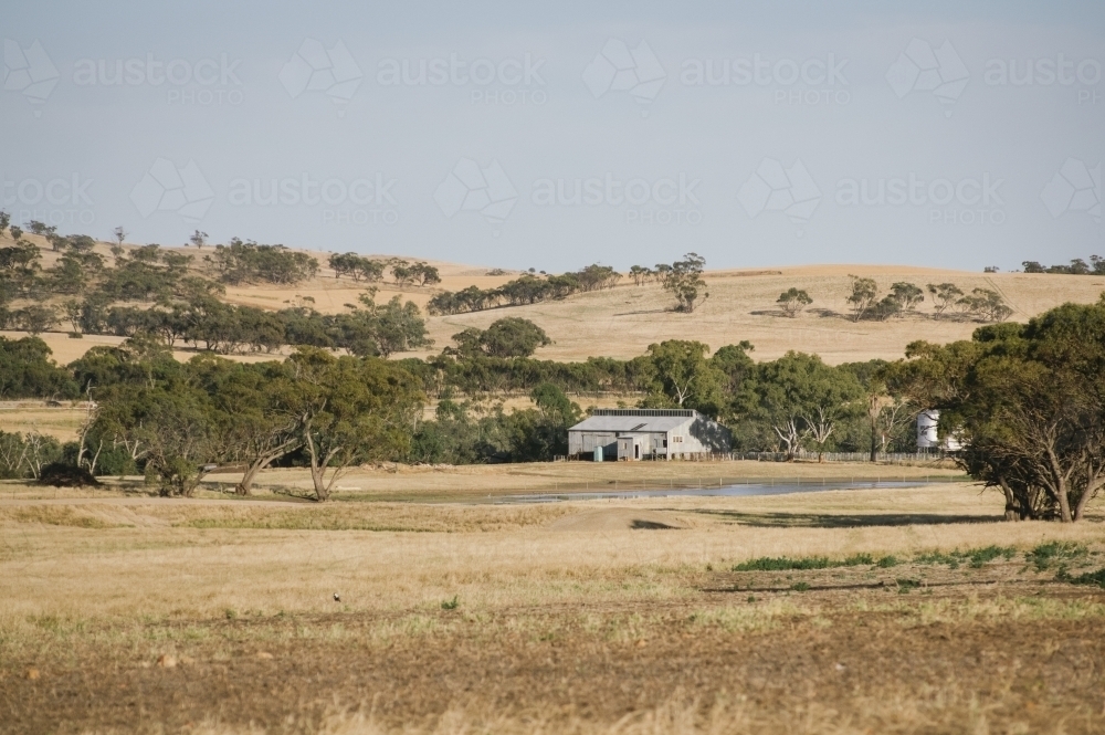 Farm sheds and landscape in Summer in the Avon Valley of Western Australia - Australian Stock Image
