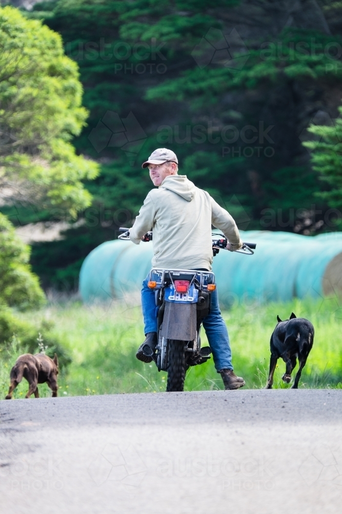 Farmer and his working dogs with motorbike - Australian Stock Image