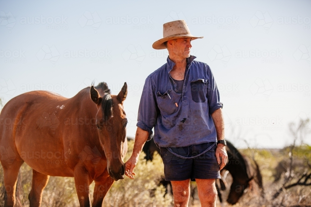 Farmer and Horse standing in paddock - Australian Stock Image