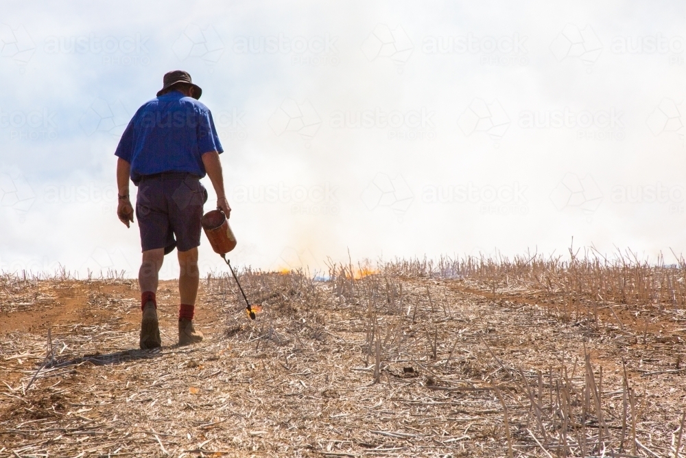 Image of Farmer carrying a fire lighter burning canola stubble