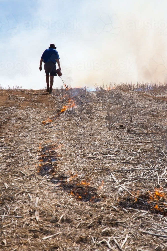 Image of Farmer carrying a fire lighter burning canola stubble