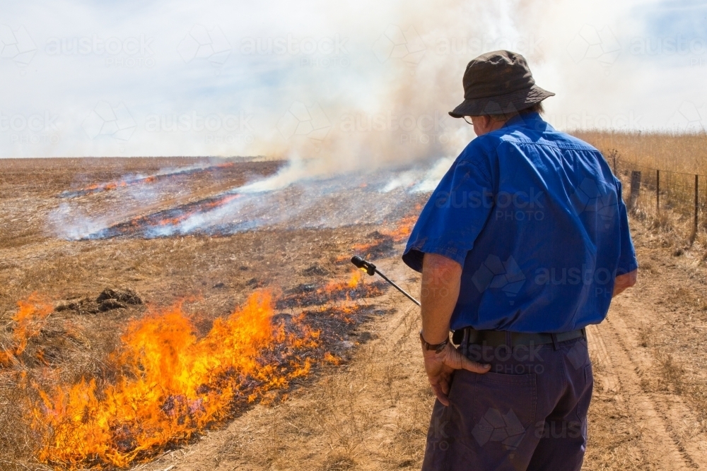 Farmer carrying a fire lighter burning canola stubble - Australian Stock Image