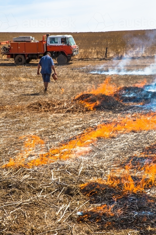 Image of Farmer carrying a fire lighter burning canola stubble