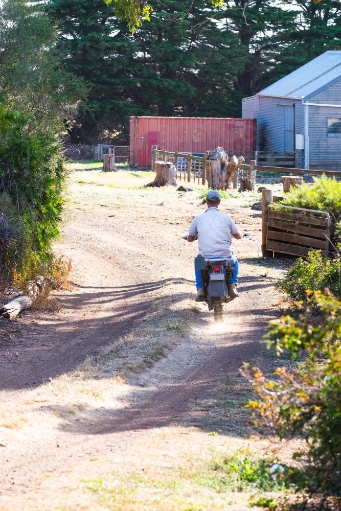 Farmer heads off on his motorbike to check the cows - Australian Stock Image