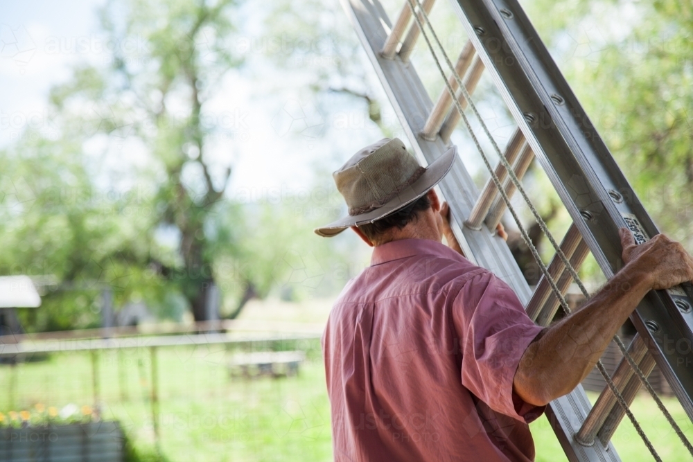 Farmer in a hat carrying extension ladder - Australian Stock Image