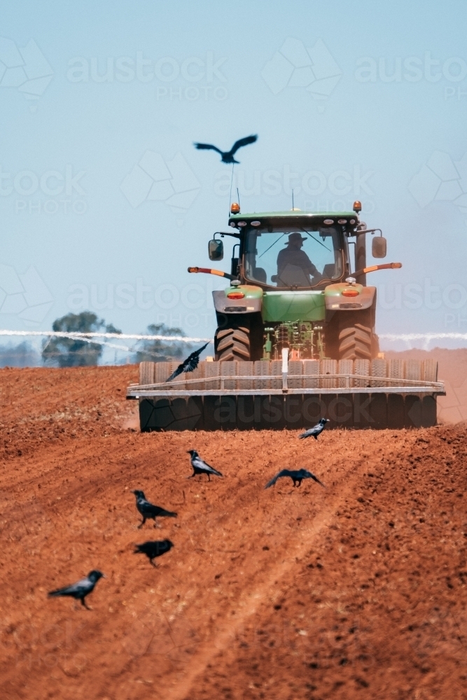 Farmer in tractor plows the red dirt for a crop as crows feed. - Australian Stock Image