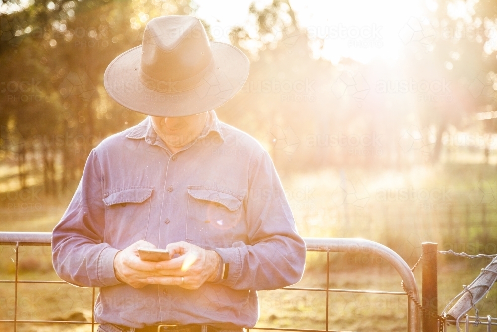 Farmer leaning on farm gate using smartphone in afternoon light - Australian Stock Image