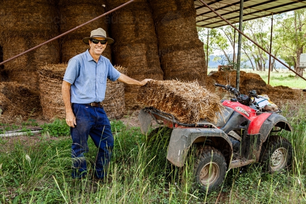 Farmer loading hay bale onto quad bike to feed livestock - Australian Stock Image