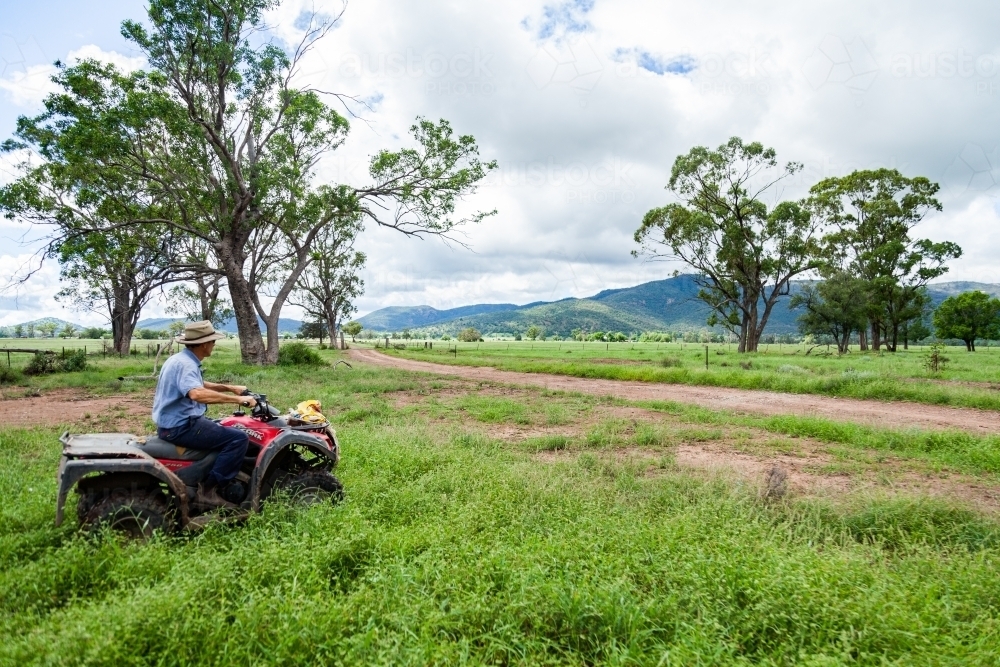 Image of farmer on four wheeler riding through farm paddock Austockphoto