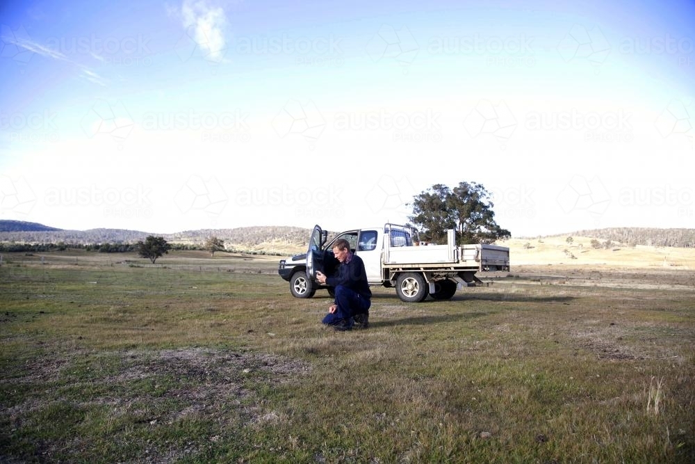Farmer on the ground in paddock assessing grass - Australian Stock Image