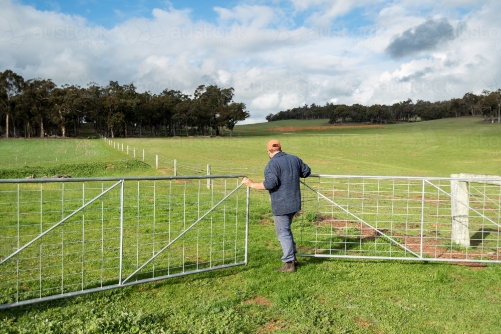 Farmer opening gate into paddock with green grass - Australian Stock Image