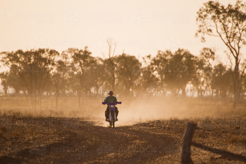 Farmer riding motorbike in afternoon light with dust - Australian Stock Image