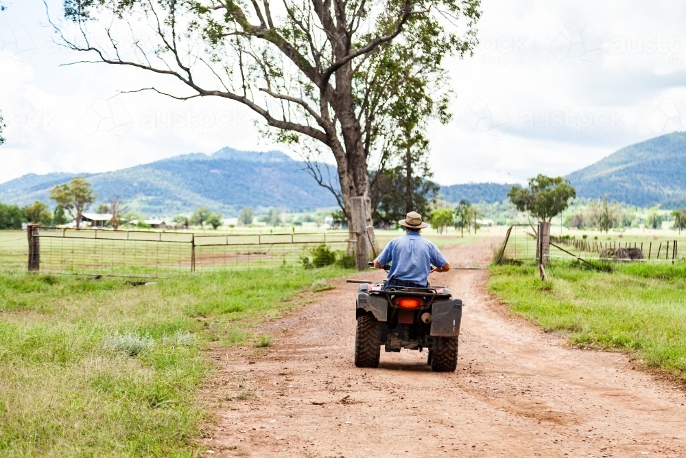 Farmer riding quad bike down farm driveway over cattle grid - Australian Stock Image