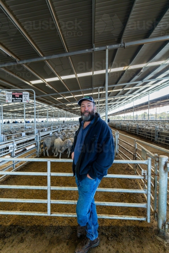 farmer standing in front of pen of sheep at Katanning saleyards - Australian Stock Image