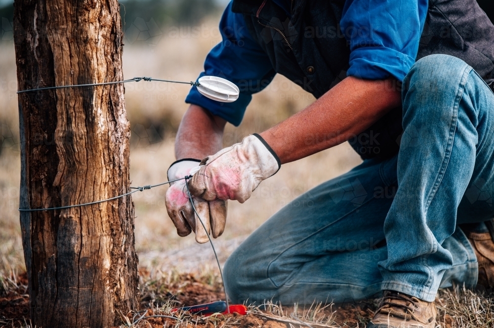 Farmer tying off electric wire fence - Australian Stock Image