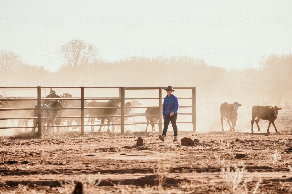 Farmer walks past cattle yards in the red dust in the outback - Australian Stock Image
