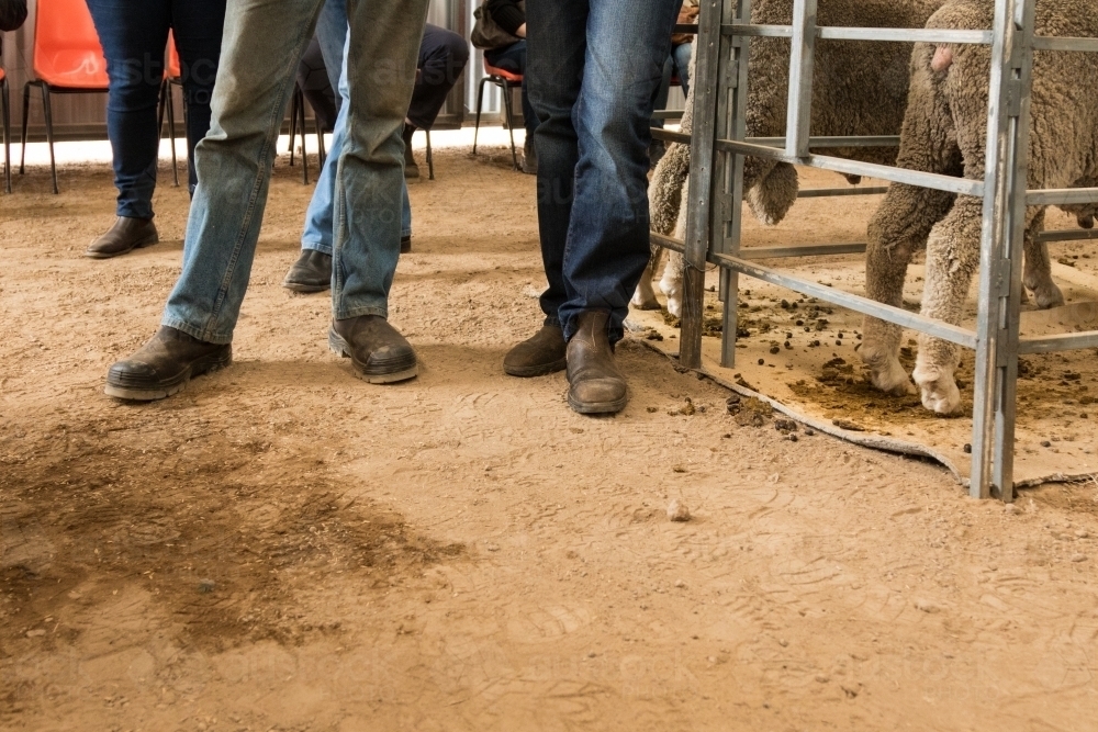 Farmers' boots on dirt floor at a ram sale - Australian Stock Image