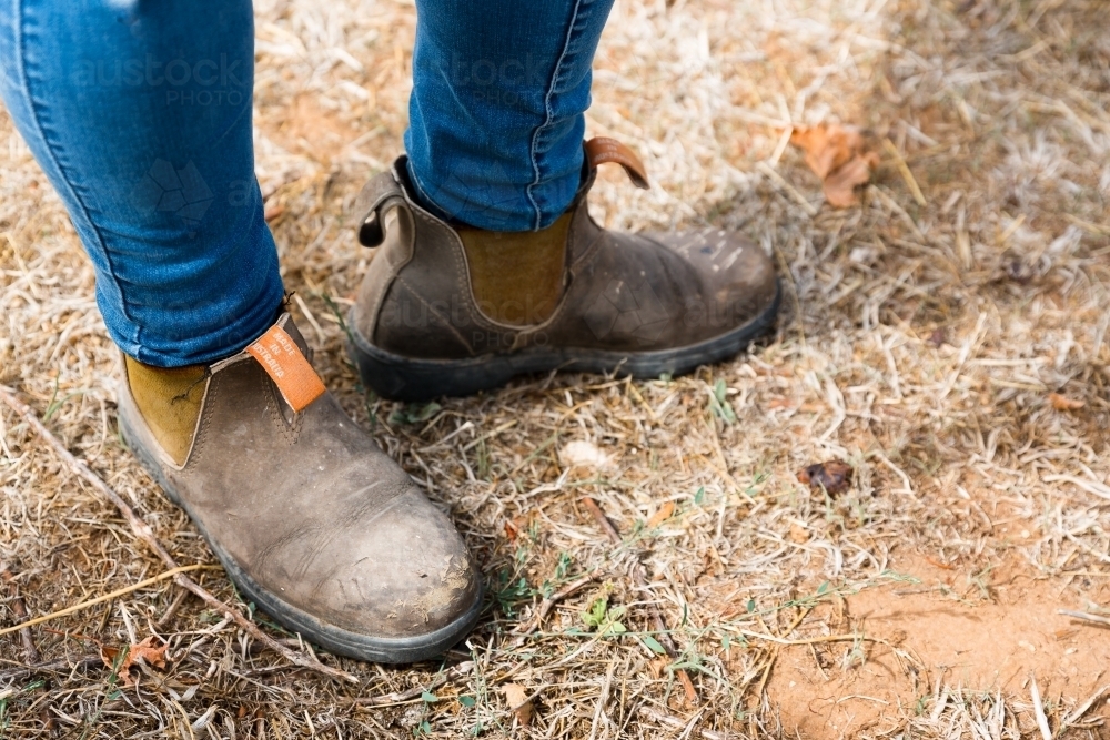 Farmers boots on red soil of winery - Australian Stock Image
