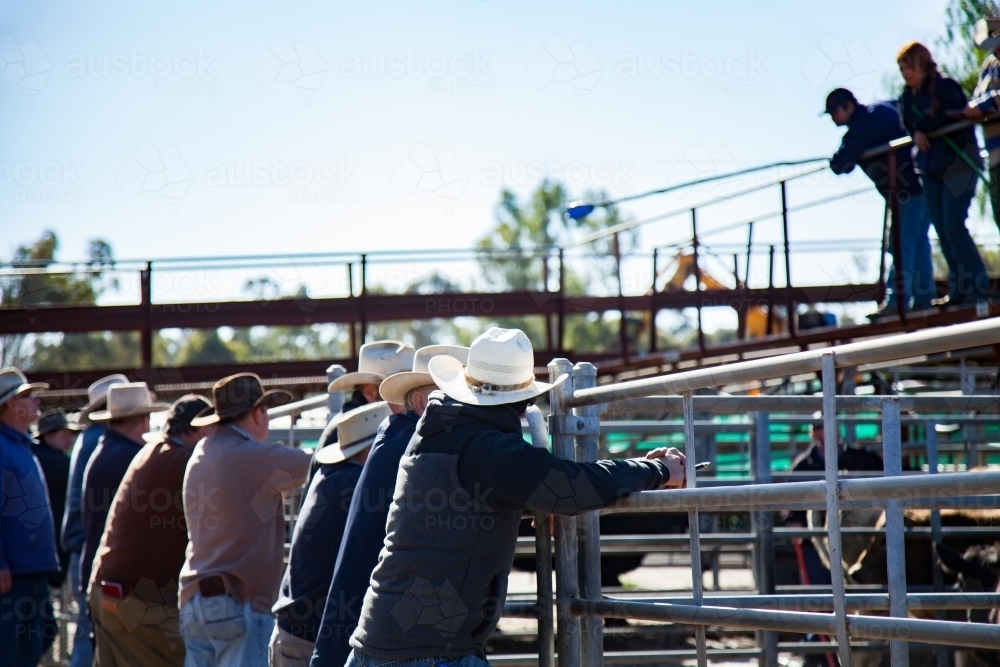 Farmers with hats leaning on cattle yard fence at sale yard - Australian Stock Image