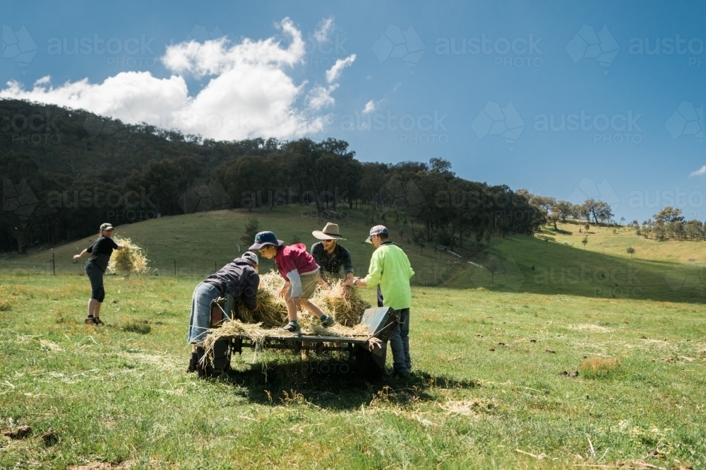 Farmhands Distributing Hay in a Paddock - Australian Stock Image
