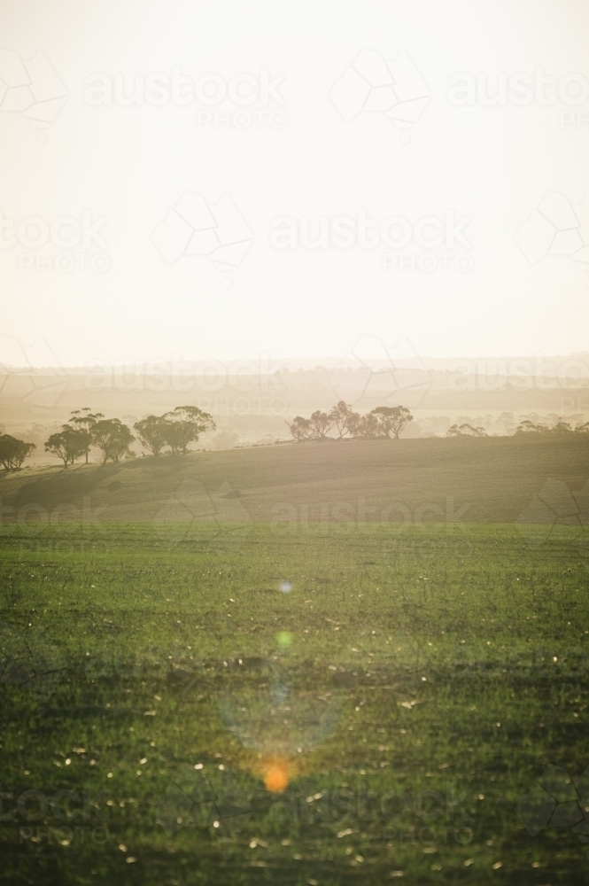 Farming landscape in the Avon Valley region of Western Australia - Australian Stock Image