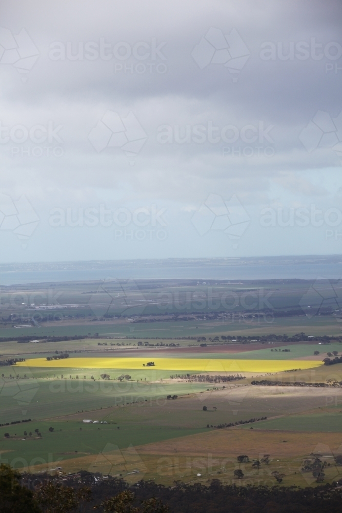 Farmland paddocks and overcast sky in Rural Victoria - Australian Stock Image