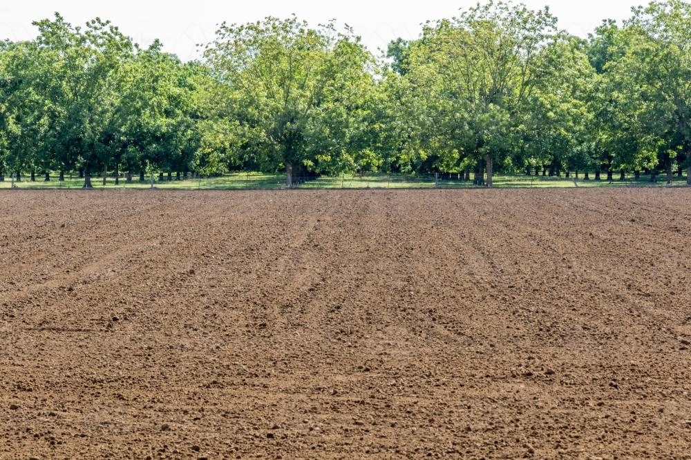 Farmland prepared for planting with green grass and trees in background - Australian Stock Image