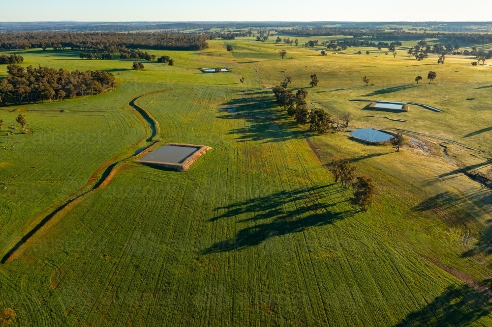 farmland with green fields and long shadows - Australian Stock Image