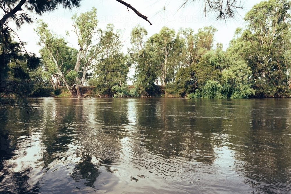 Fast flowing Murrumbidgee River near Mundarlo, NSW - Australian Stock Image