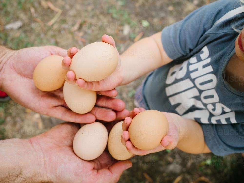 Father and daughter holding eggs - Australian Stock Image