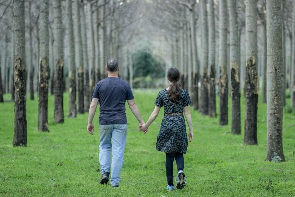 Father and daughter holding hands and walking through aisles of trees - Australian Stock Image