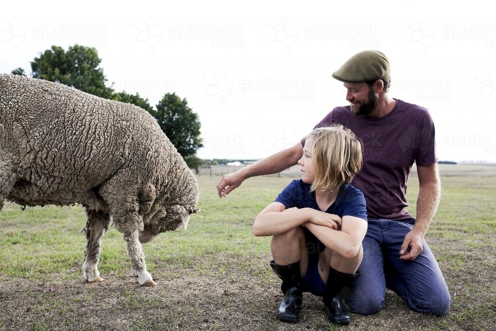 Father and daughter in paddock looking at sheep - Australian Stock Image