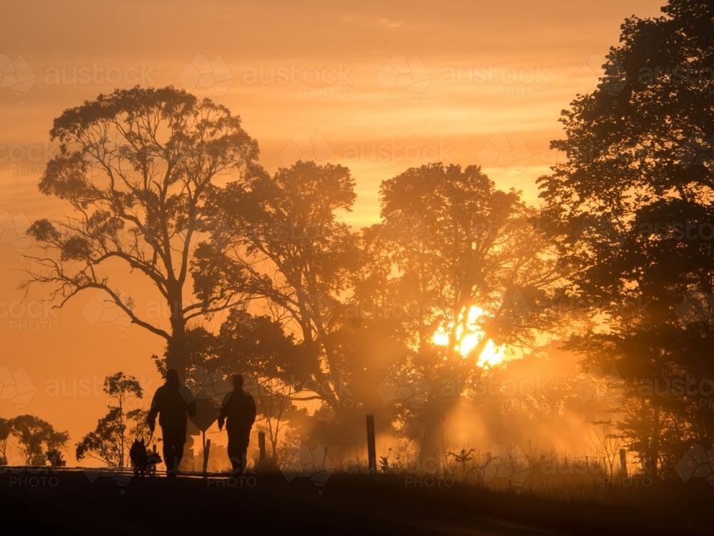 Father and daughter walking in a paddock silhouetted against morning sun - Australian Stock Image