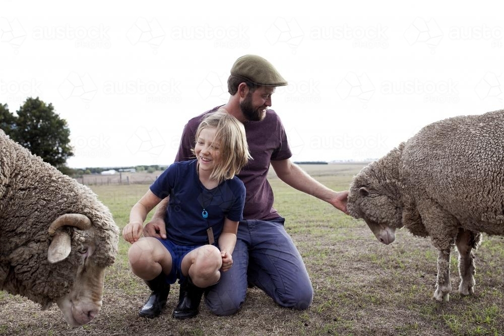 Father and daughter with friendly sheep in the paddock - Australian Stock Image