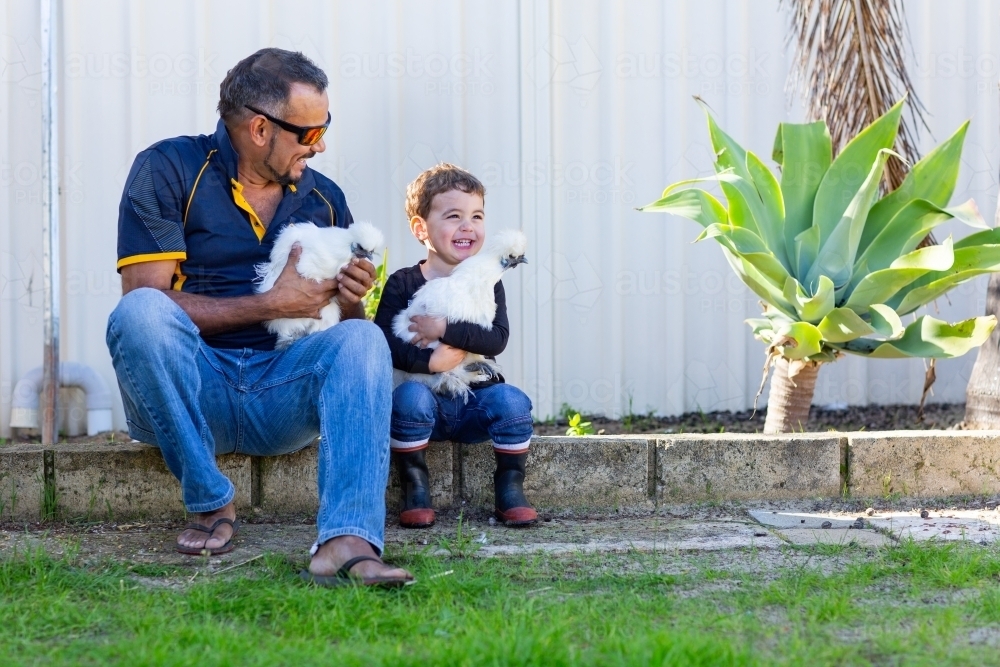 Father and little boy holding silky bantams in back yard - Australian Stock Image