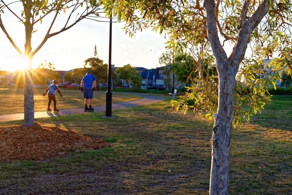 Father and son roller skating at a park at sunset with sunflare, golden hour - Australian Stock Image
