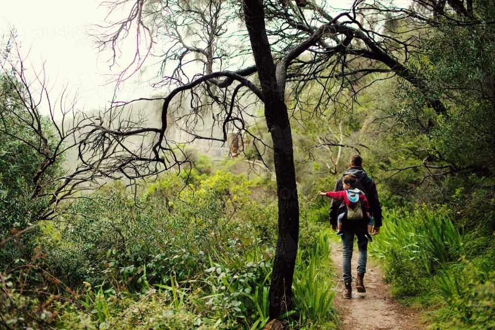 Father carrying a child on his back hiking - Australian Stock Image
