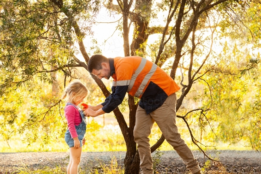 Father putting flower in daughters shirt - Australian Stock Image