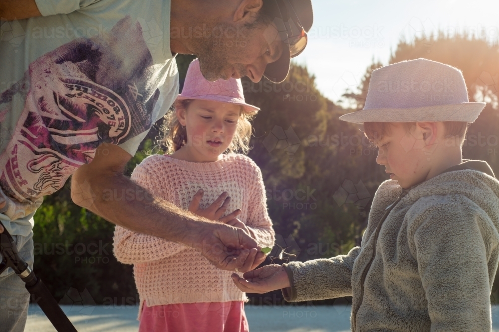 Father showing boy and girl a stick insect - Australian Stock Image