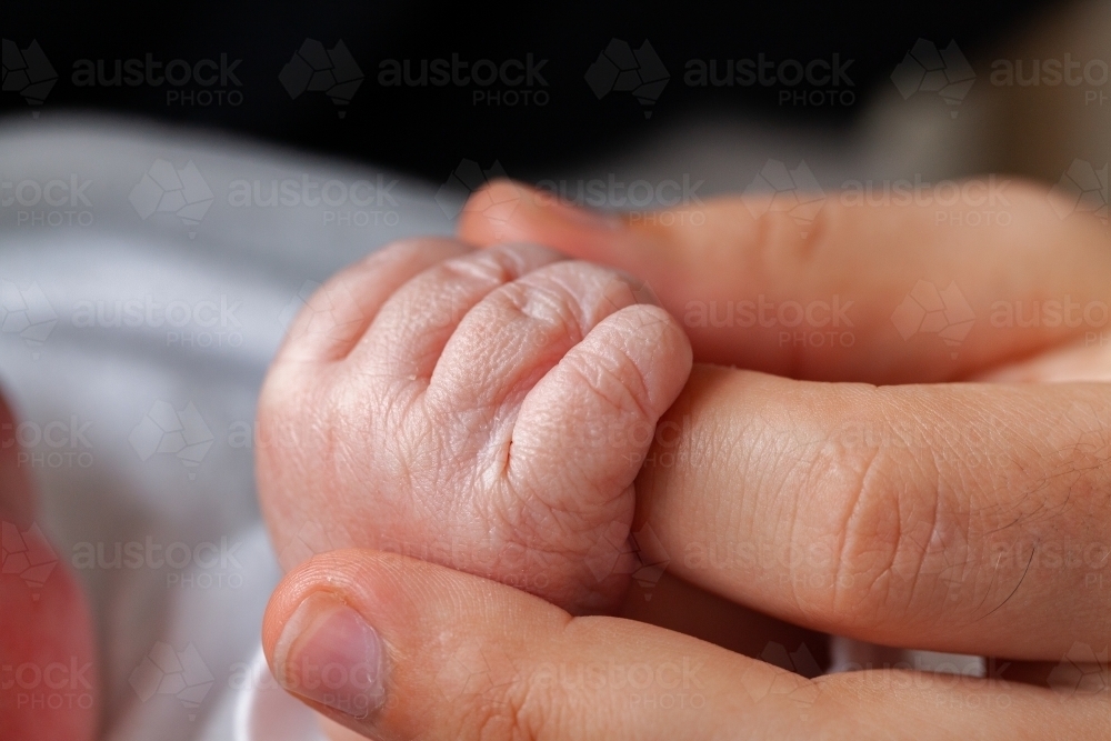 fathers hand holding tiny newborn baby's hand showing little fingers - Australian Stock Image