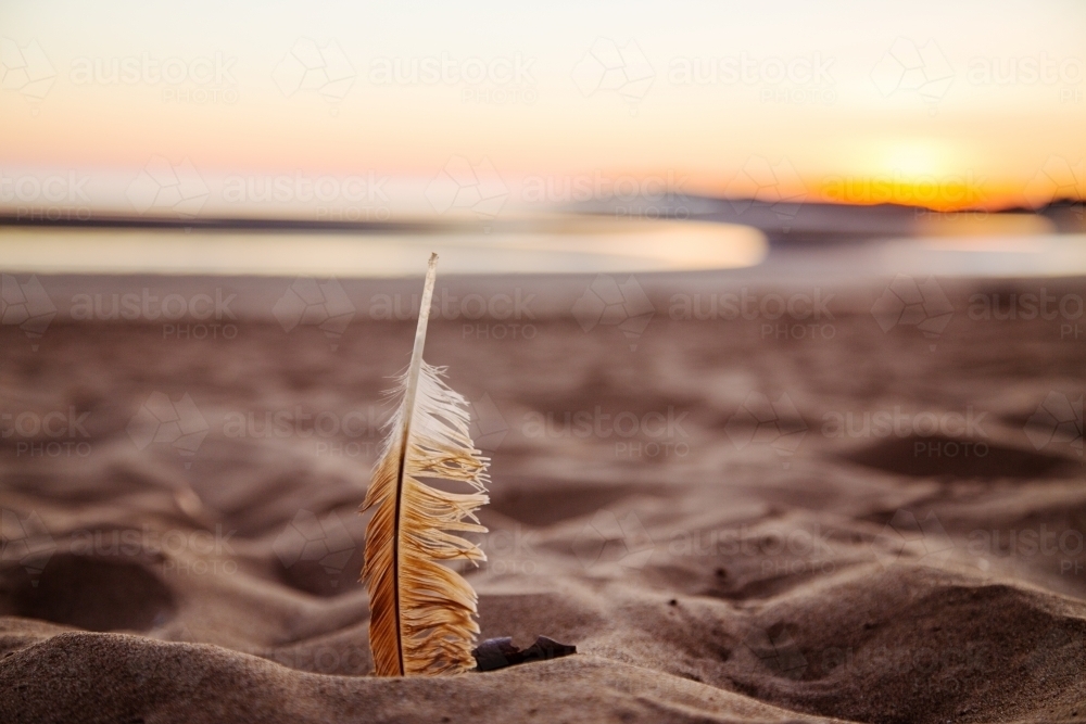 Feather on beach at sunrise - Australian Stock Image